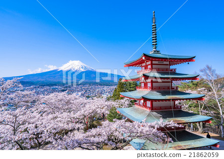 象徵日本的風景[山梨縣荒山山仙根公園] 21862059