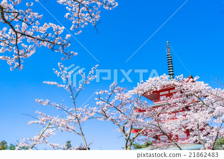 象徵日本的風景[山梨縣荒山山仙根公園] 21862483