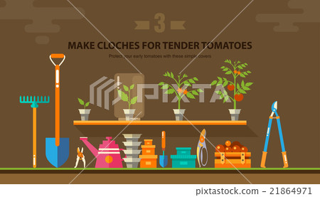 TENDER TOMATOES 1 21864971