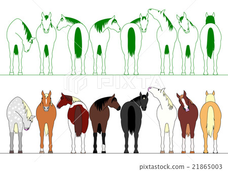 Set of horse color variations 21865003