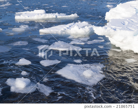 Drift ice floating on the sea 21865751