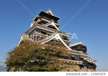 Kumamoto Castle castle tower Kumamoto Castle castle tower 21865829