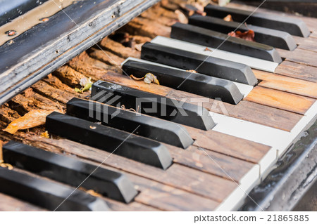 Broken Old Piano Keys Broken Old Piano Keys 21865885