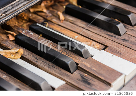 Broken Old Piano Keys Broken Old Piano Keys 21865886