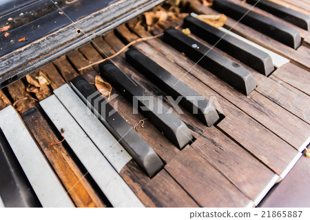 Broken Old Piano Keys Broken Old Piano Keys 21865887