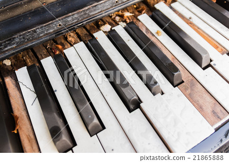 Broken Old Piano Keys Broken Old Piano Keys 21865888
