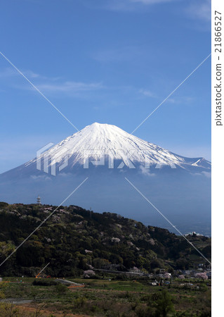 Mount Fuji Mount Fuji 21866527