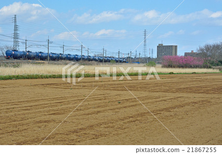 Walking through the Mine Numagawara Field: A freight train going through the Musashino line between Higashiura and Higashi Kawaguchi 21867255