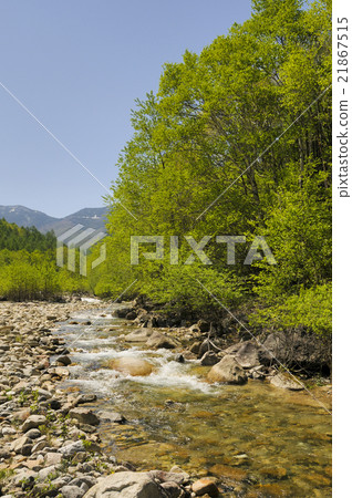 新鮮的綠色和山間溪流 新鮮的綠色和山間溪流 21867515