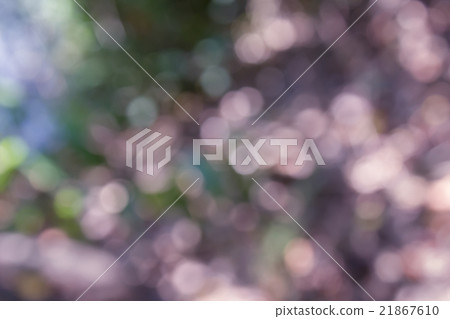 Colourful spark and blow natural bokeh Colourful spark and blow natural bokeh 21867610