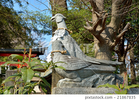 Otani Hikikawa Shrine:Komyo野雞的方法 Otani Hikikawa Shrine:Komyo野雞的方法 21867835