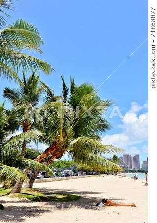 夏威夷的假期 夏威夷的假期 21868077