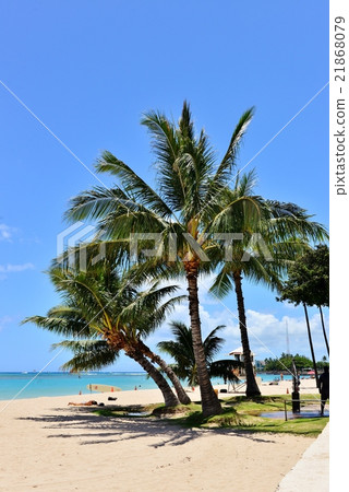夏威夷的假期 夏威夷的假期 21868079