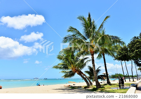 夏威夷的假期 21868080