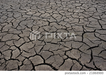 破裂的農田模式b 21868980