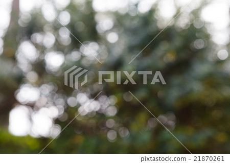 natural green bokeh background natural green bokeh background 21870261
