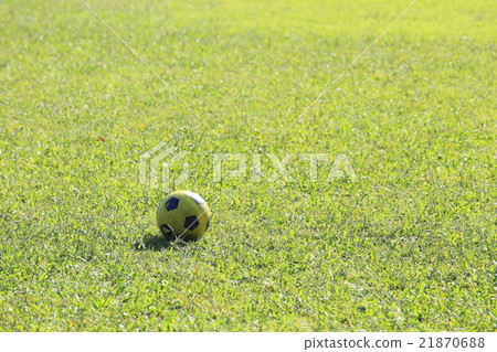 Lawn and soccer ball Lawn and soccer ball 21870688