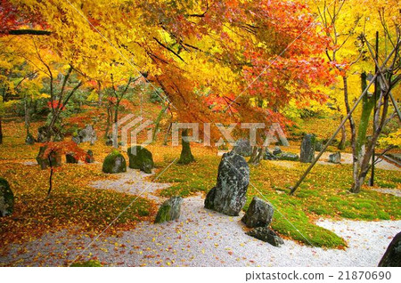 Autumn leaves of Komyo Zenji Autumn leaves of Komyo Zenji 21870690