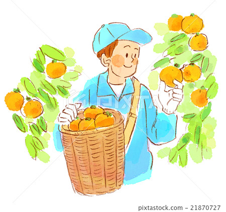 People Agriculture oranges farmers People Agriculture oranges farmers 21870727