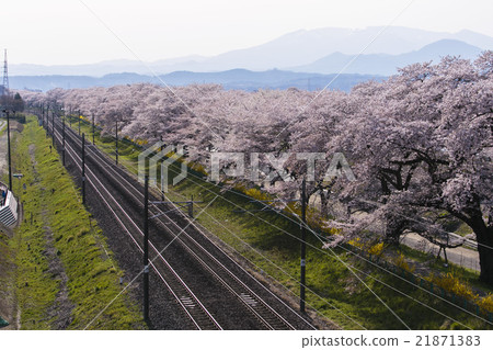 Funaoka Castle Ruins Park 004 21871383