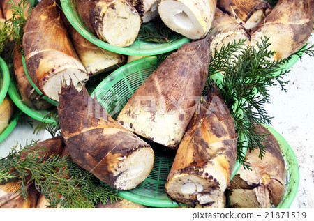 bamboo shoots bamboo shoots 21871519