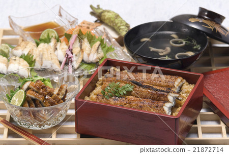 Eel set 21872714