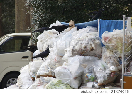 A group of horsetail fish catching garbage 21874066