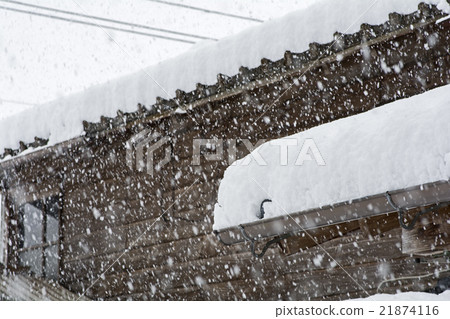 與大雪的木大廈 21874116