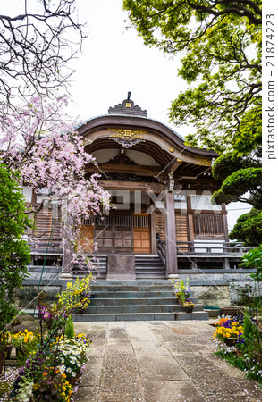 北海道寺廟千葉縣千葉縣市川市中山在2016年4月拍攝了 北海道寺廟千葉縣千葉縣市川市中山在2016年4月拍攝了 21874223