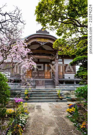 北海道寺廟千葉縣千葉縣市川市中山在2016年4月拍攝了 北海道寺廟千葉縣千葉縣市川市中山在2016年4月拍攝了 21874224