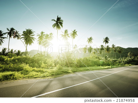 empty road in jungle of Seychelles islands 21874958