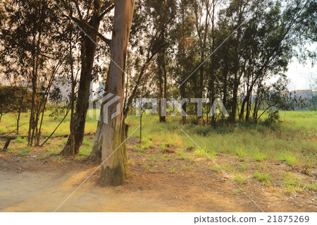wetland of NAM SANG WAI wetland of NAM SANG WAI 21875269