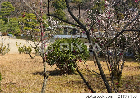 早春的京都Osei-en花園 早春的京都Osei-en花園 21875416