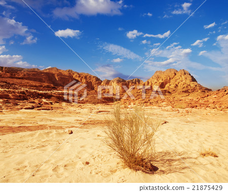 Sinai desert landscape  21875429