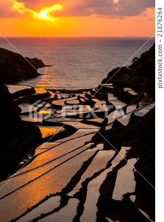 Rice terrace of Hamanoura 21876264