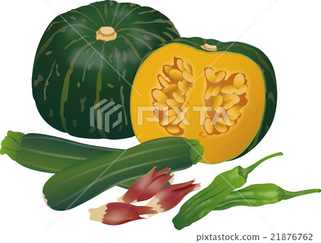 Vegetable set of summer 21876762