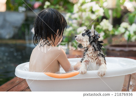 Cute asian  child bathing with siberian husky  21876936
