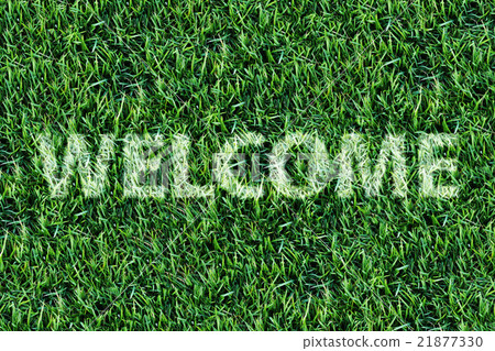 Welcome word on fresh green grass background. 21877330