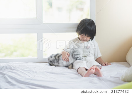Asian baby playing with American Shorthair  kitten 21877482