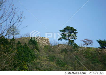 日本的“天空中的城堡”武田城遺址武田城遺址兵庫縣朝來市 日本的“天空中的城堡”武田城遺址武田城遺址兵庫縣朝來市 21879168
