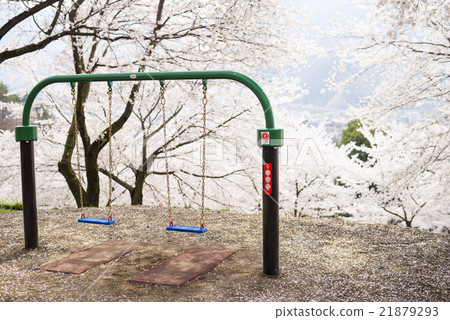 櫻花和鞦韆 21879293
