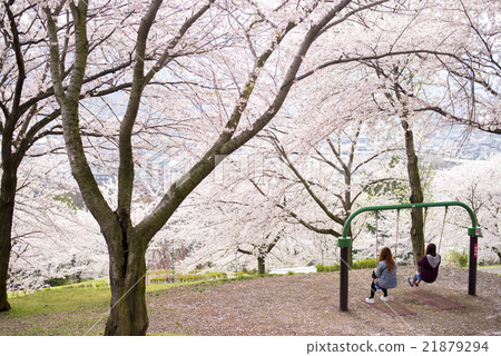 櫻花和鞦韆和兩個人 21879294