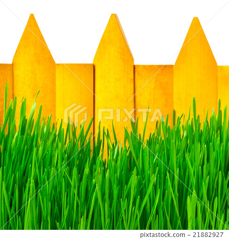 Wooden fence and green grass Wooden fence and green grass 21882927