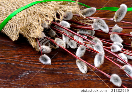 Pussy willow in sackcloth on rustic wood Pussy willow in sackcloth on rustic wood 21882929