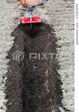 farmer makes seedbed by tiller in spring farmer makes seedbed by tiller in spring 21883049