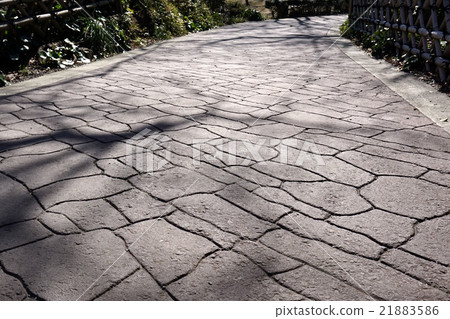 一條鵝卵石路,一棵樹的陰影落在那裡 一條鵝卵石路,一棵樹的陰影落在那裡 21883586
