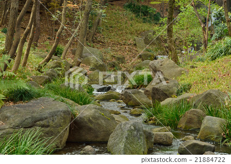 Kitanomaru Park 21884722