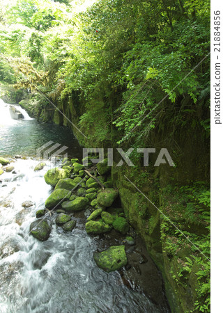 菊池谷(熊本縣) 菊池谷(熊本縣) 21884856