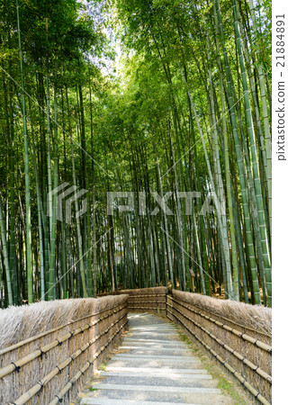 Nembutsuji temple bamboo forest 9 2016 Spring 21884891