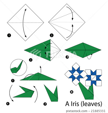 origami A iris (leaves). origami A iris (leaves). 21885331